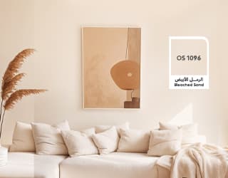 Colour Consulting